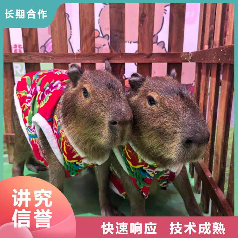 ：检疫标准厂家