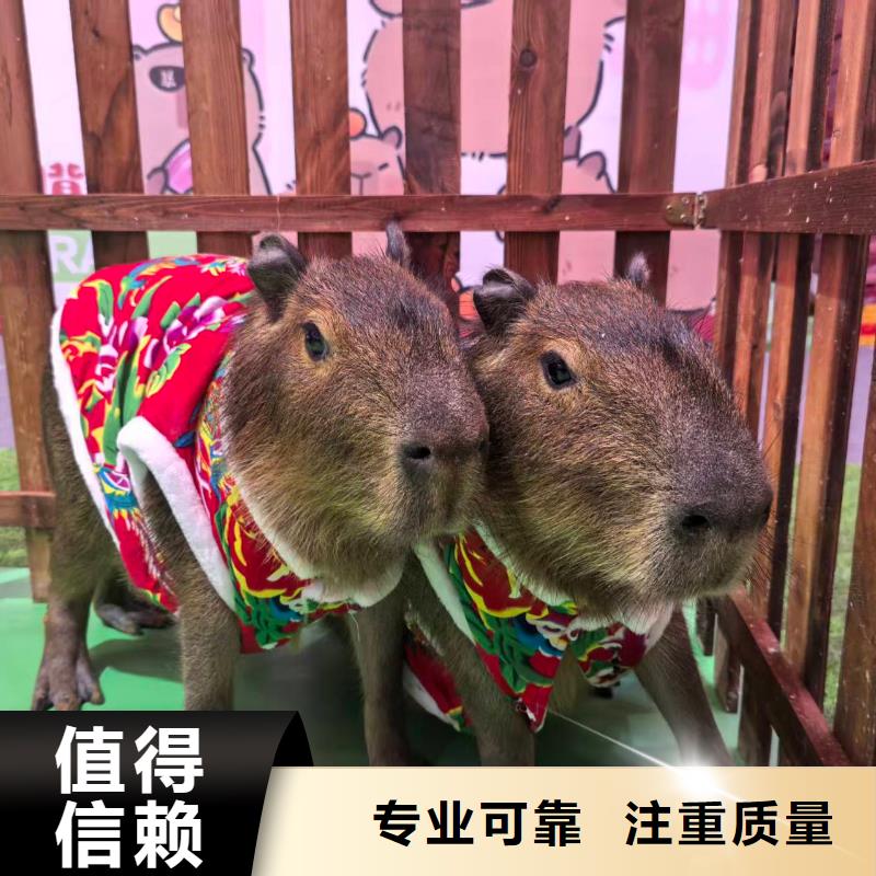 企业团建-企业团建质优价廉