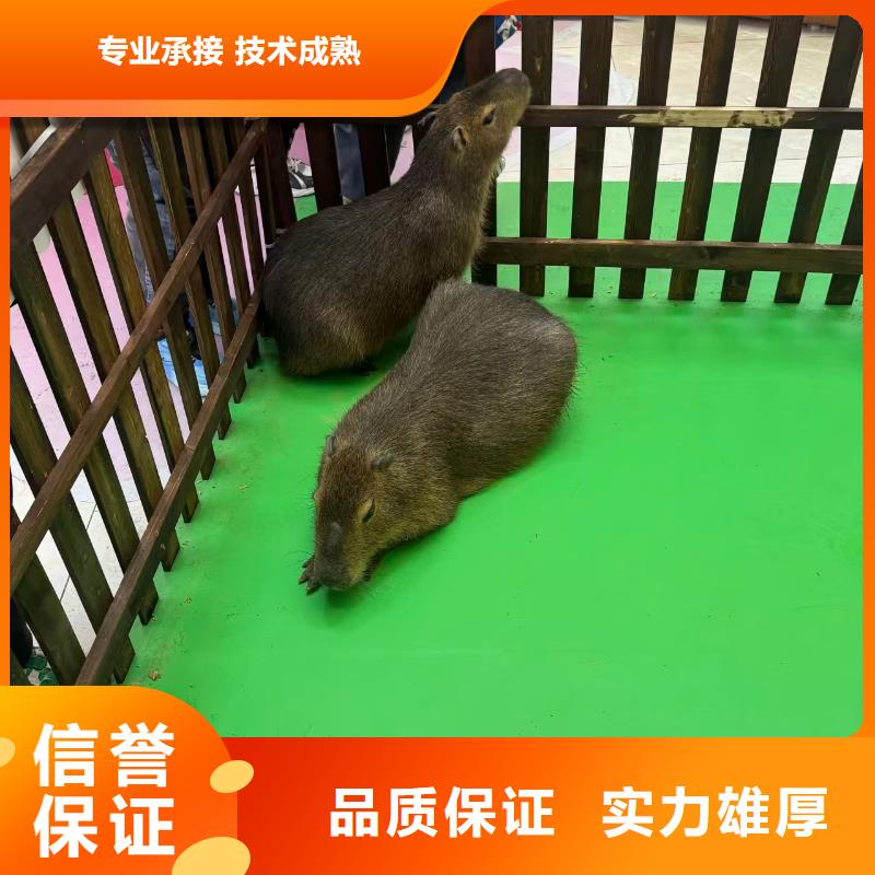 定做出租的生产厂家