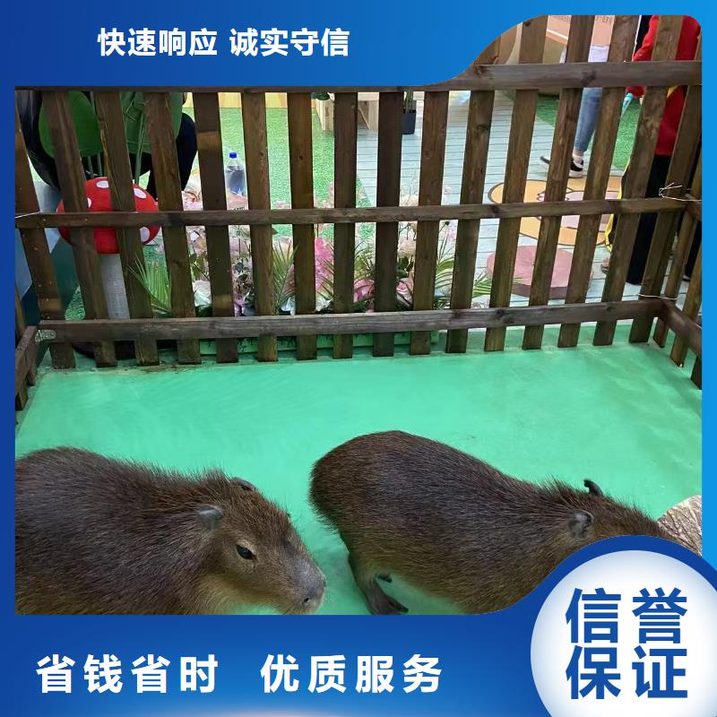 全年龄段适配-全年龄段适配品牌厂家