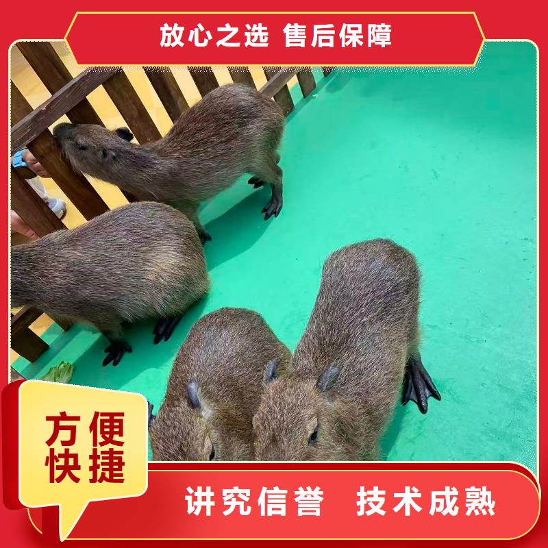 出租优势厂家加工