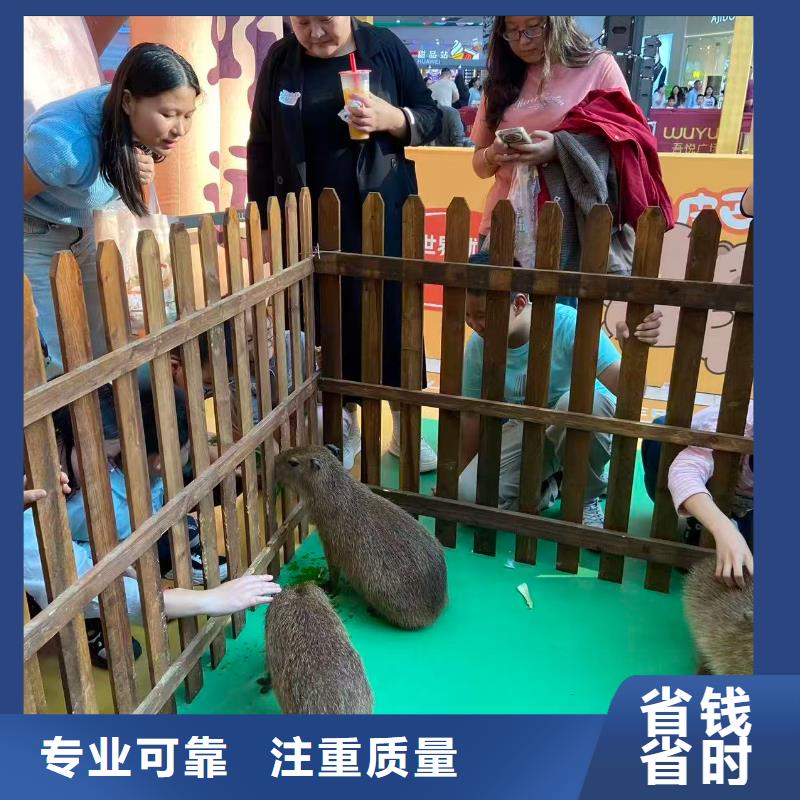 靠谱的检疫标准公司