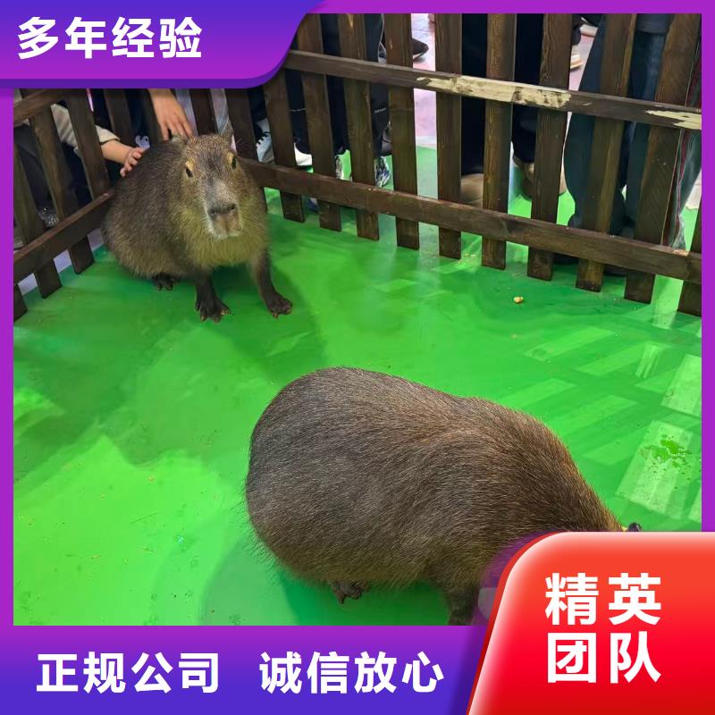 全年龄段适配-全年龄段适配品牌厂家