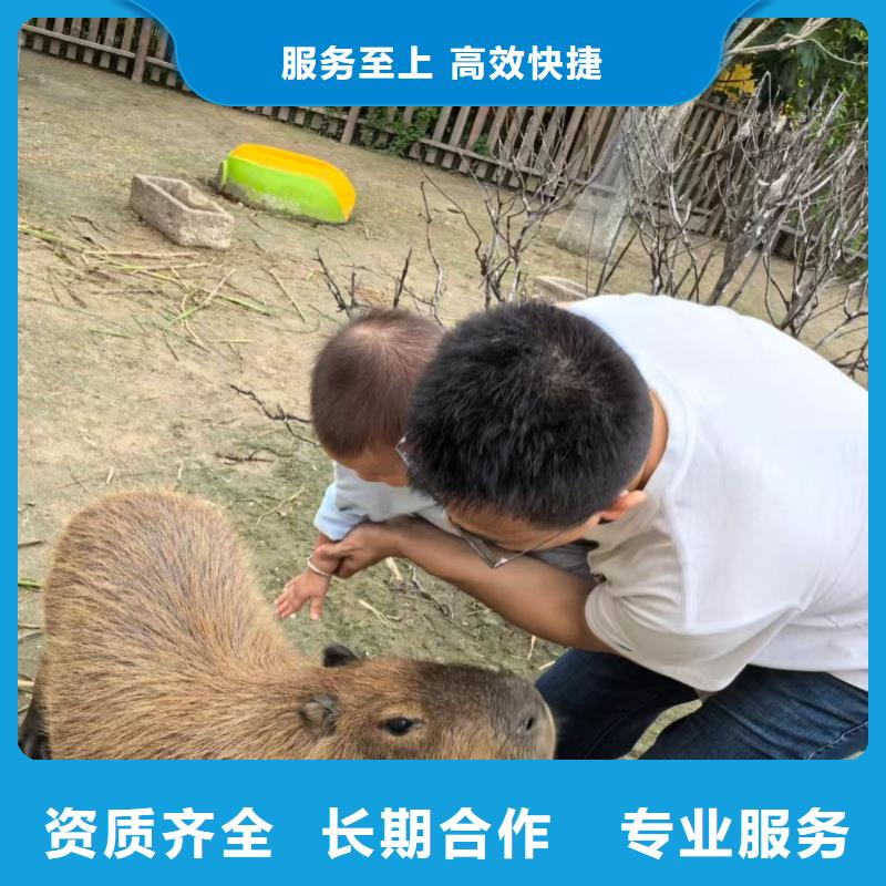 商场暖场经久耐用