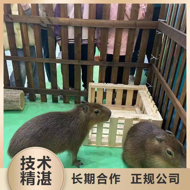 全年龄段适配-全年龄段适配品牌厂家