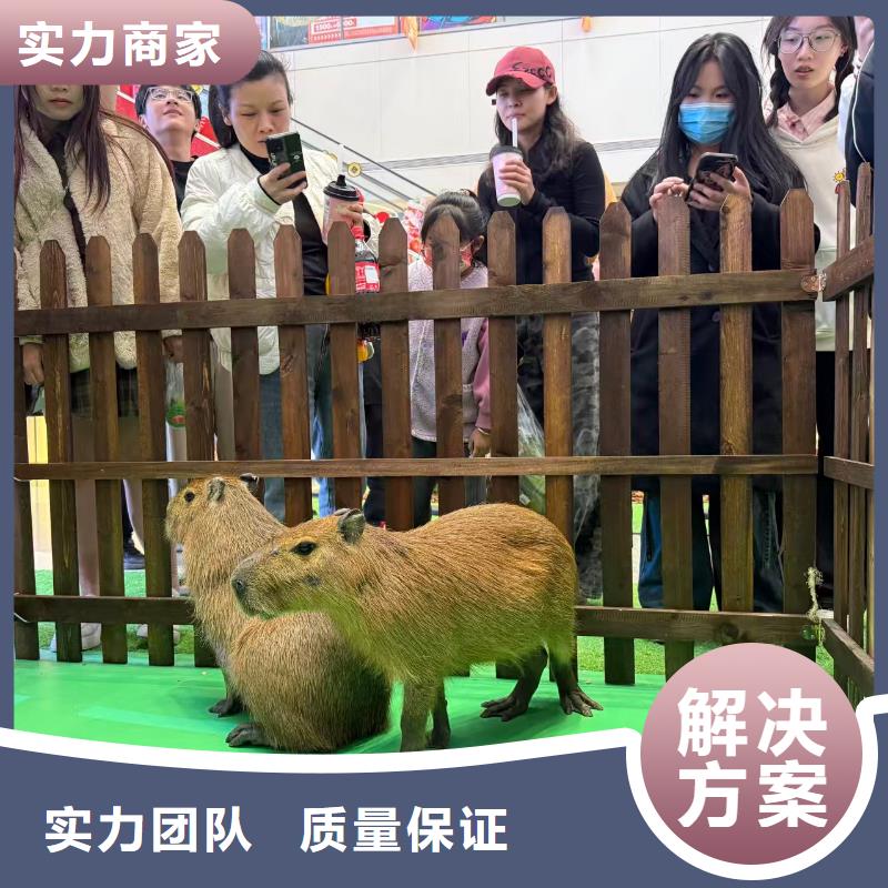 全年龄段适配-全年龄段适配品牌厂家