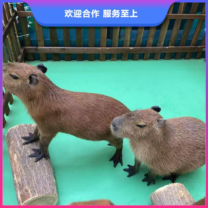 全年龄段适配-全年龄段适配品牌厂家