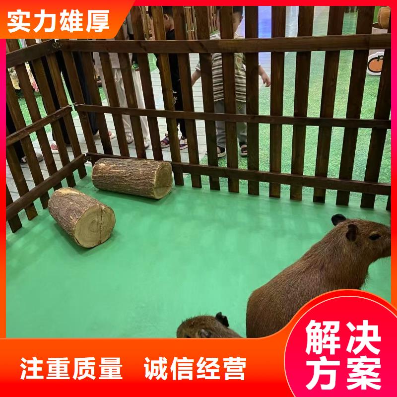 出租优势厂家加工