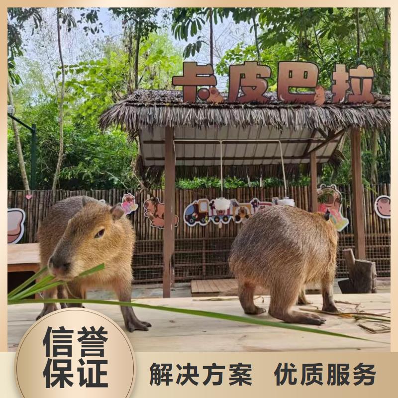 全年龄段适配-全年龄段适配品牌厂家