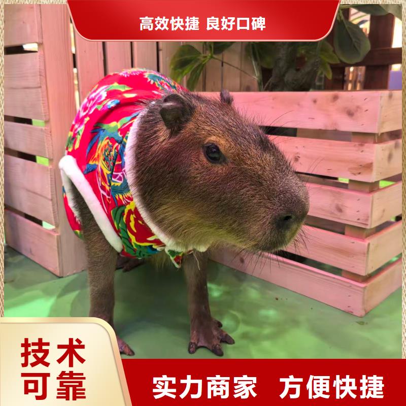 靠谱的检疫标准公司