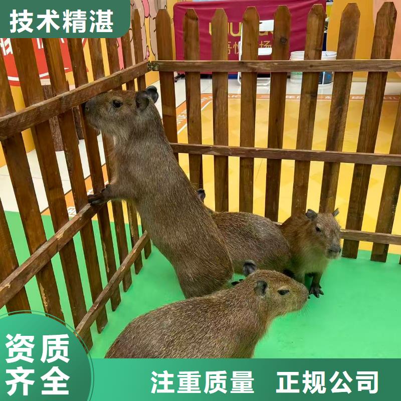 商场暖场经久耐用