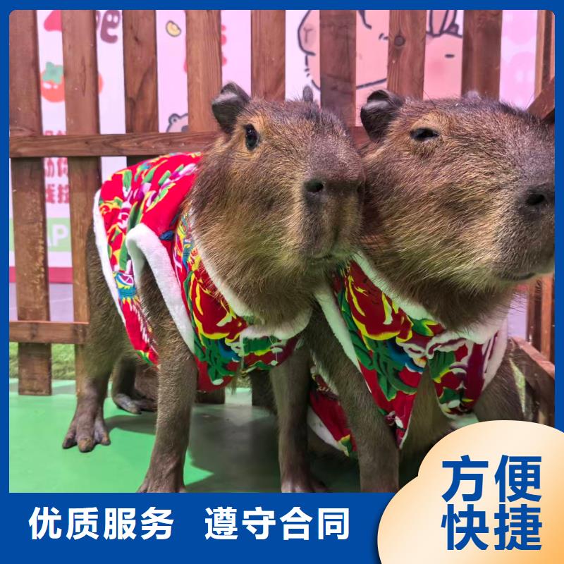 ：检疫标准厂家