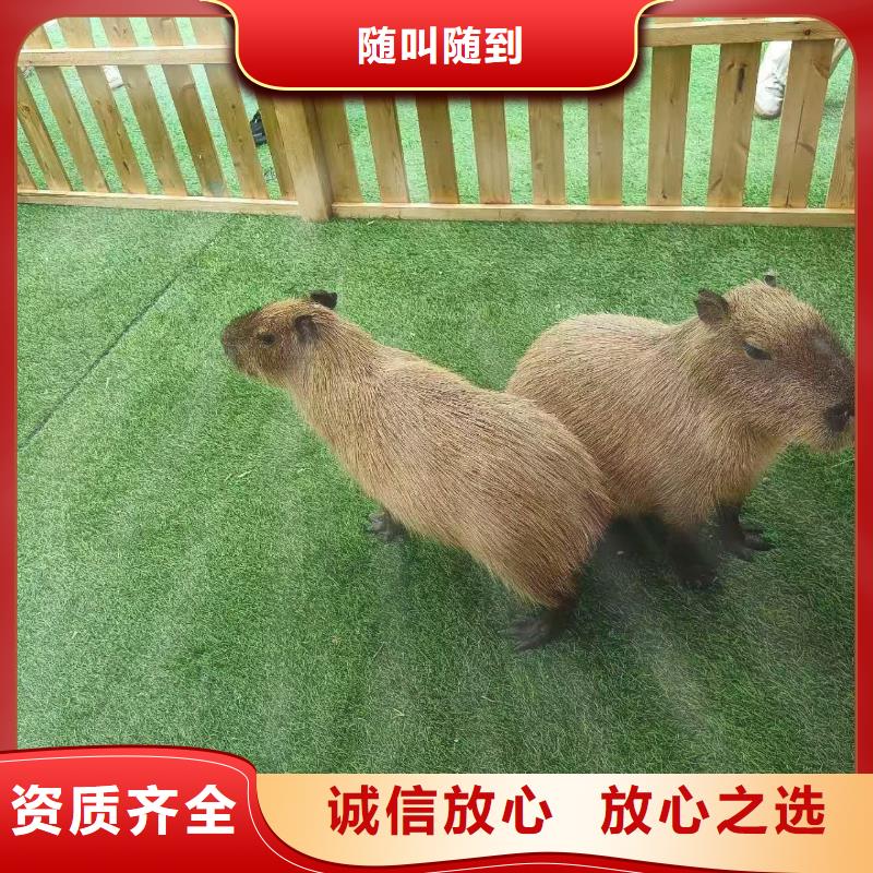 出租优势厂家加工