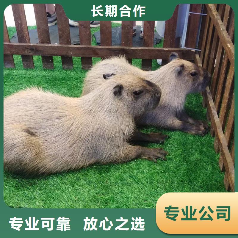 全年龄段适配-全年龄段适配品牌厂家