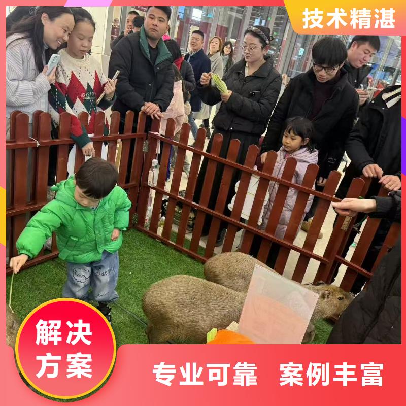 库存充足的出租经销商