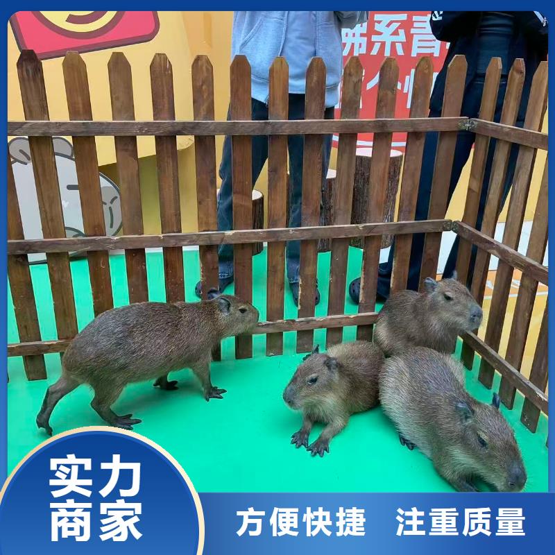 出租优势厂家加工