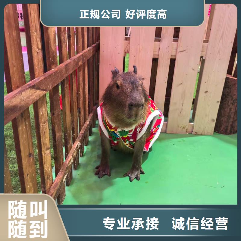 全年龄段适配-全年龄段适配品牌厂家