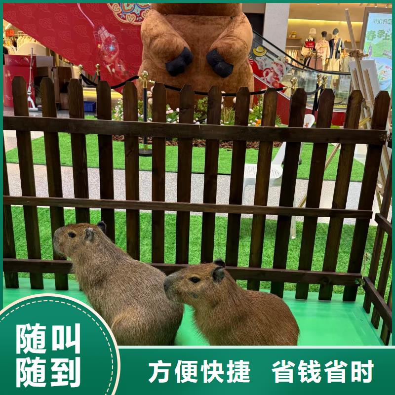 全年龄段适配-全年龄段适配品牌厂家