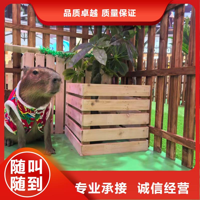 全年龄段适配-全年龄段适配品牌厂家