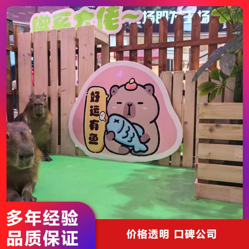 全年龄段适配-全年龄段适配品牌厂家