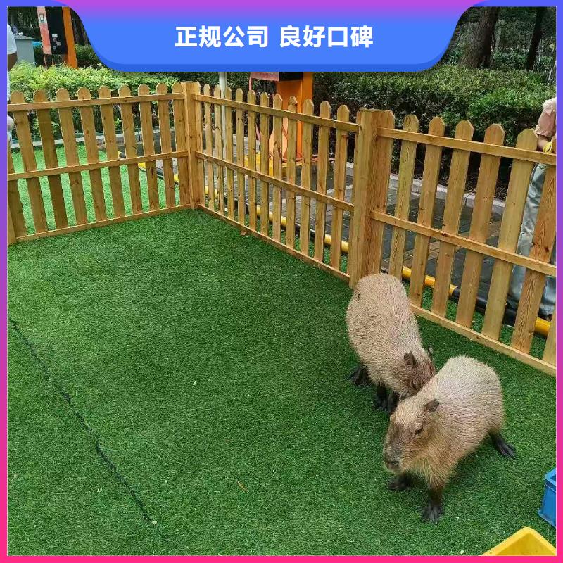 经验丰富的策划基地