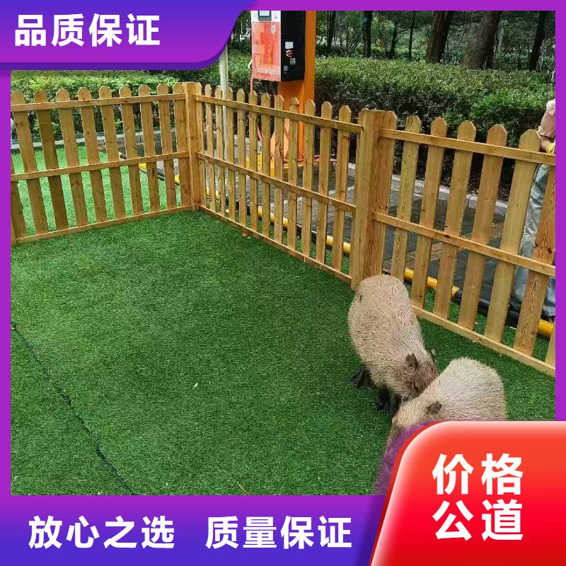 全年龄段适配-全年龄段适配品牌厂家