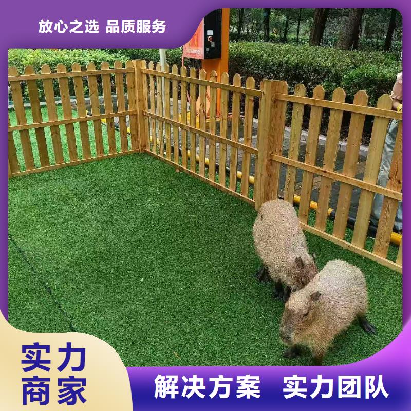 全年龄段适配-全年龄段适配品牌厂家