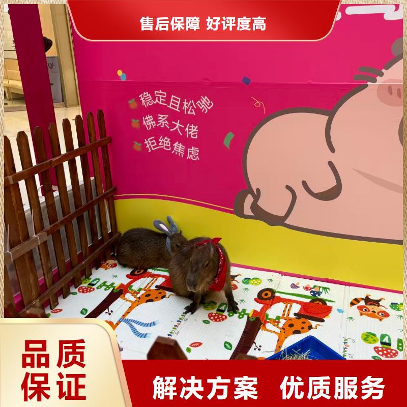 全年龄段适配-全年龄段适配品牌厂家