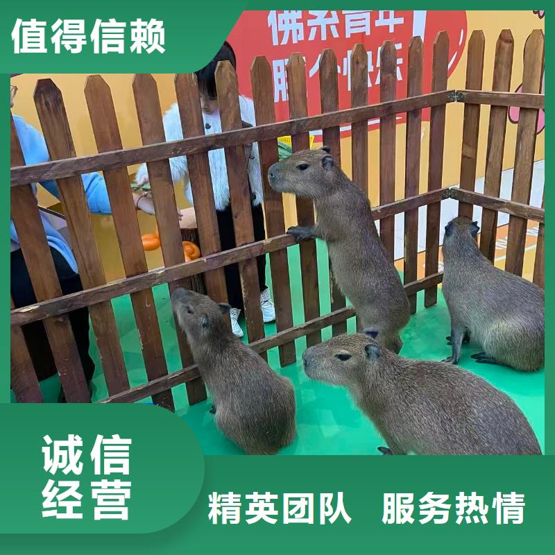 全年龄段适配-全年龄段适配品牌厂家