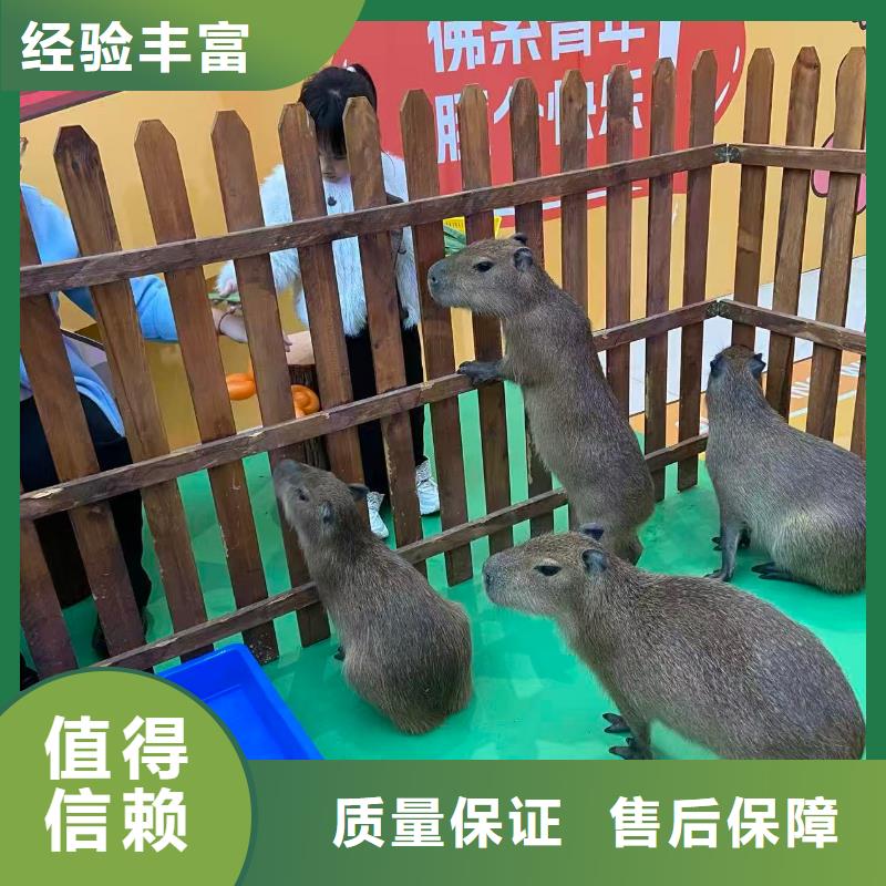 企业团建-企业团建质优价廉