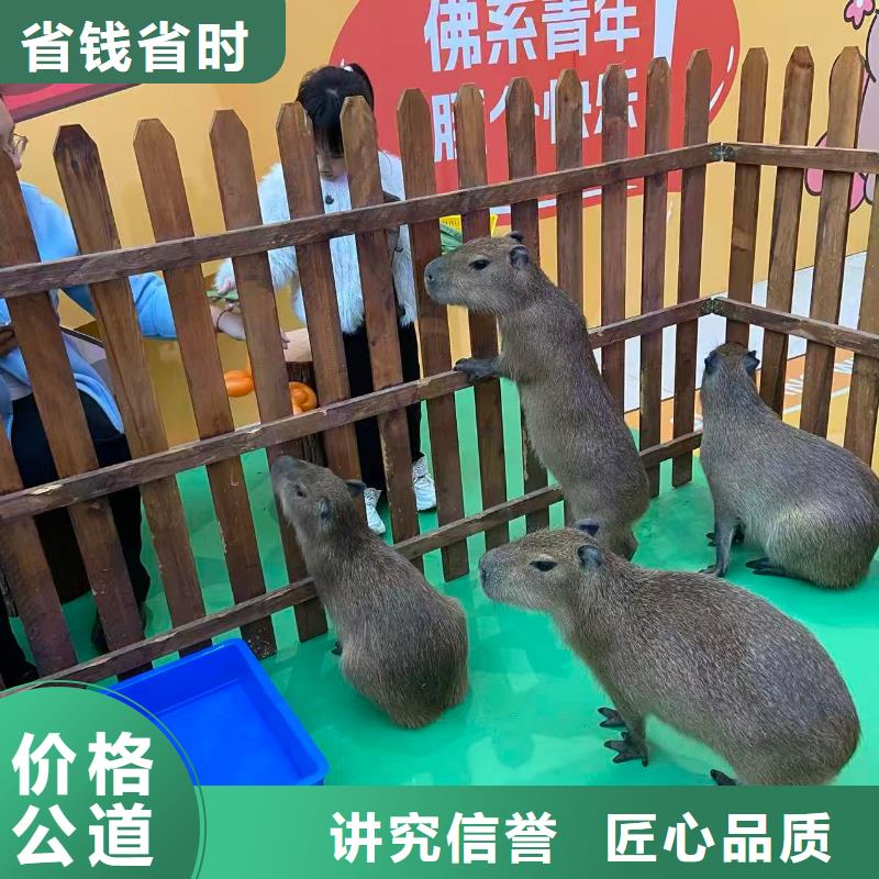 全年龄段适配-全年龄段适配品牌厂家