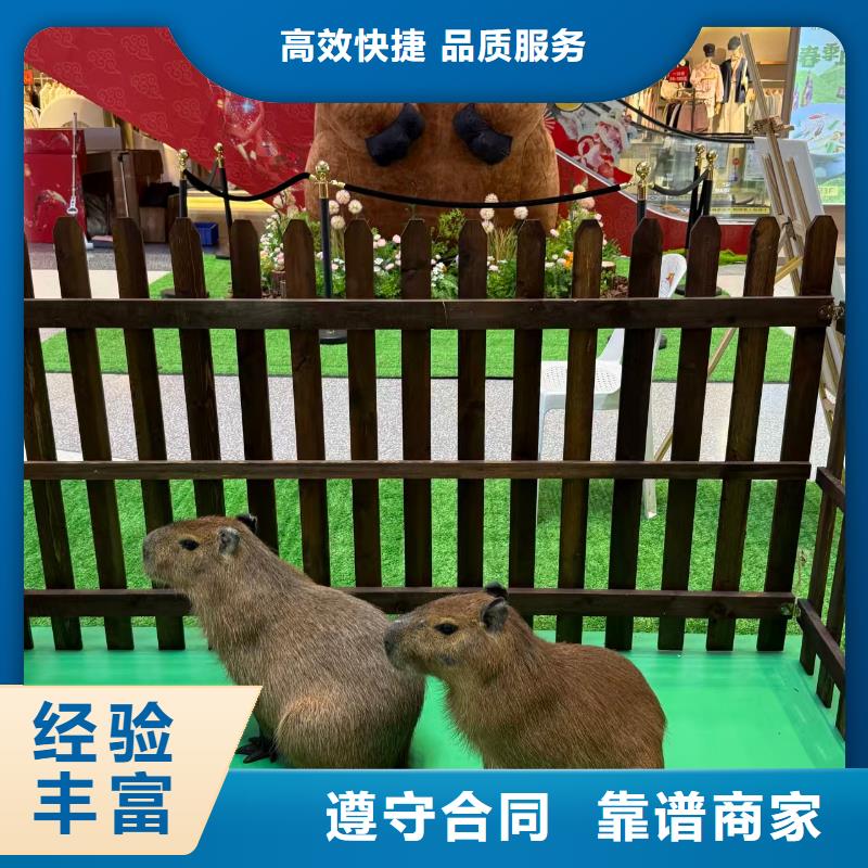 全年龄段适配-全年龄段适配品牌厂家