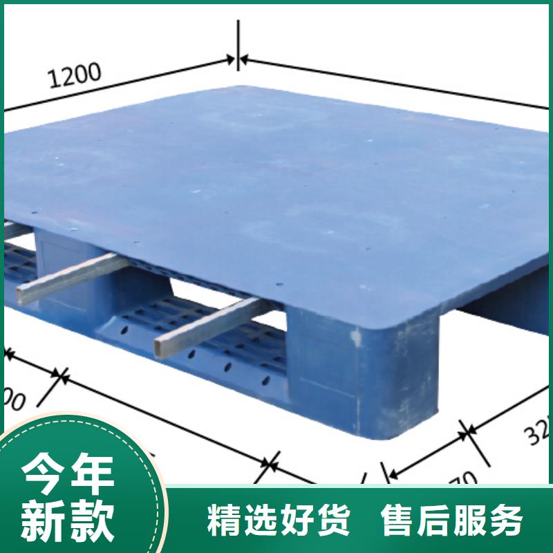 塑料托盘大容量蔬菜塑料筐专业生产团队