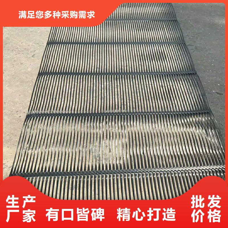 土工格栅\抗裂贴,双向塑料土工格栅实力大厂家