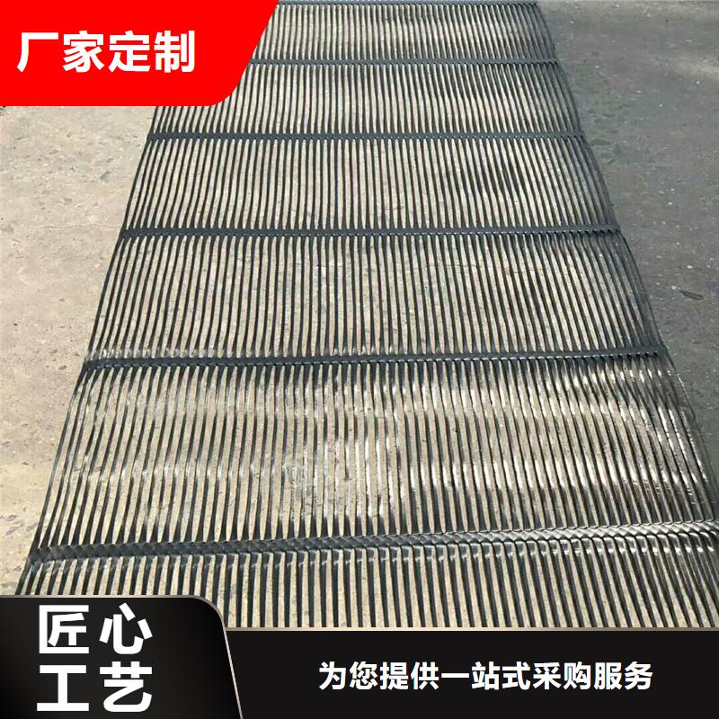 土工格栅\抗裂贴塑料玻纤格栅精益求精