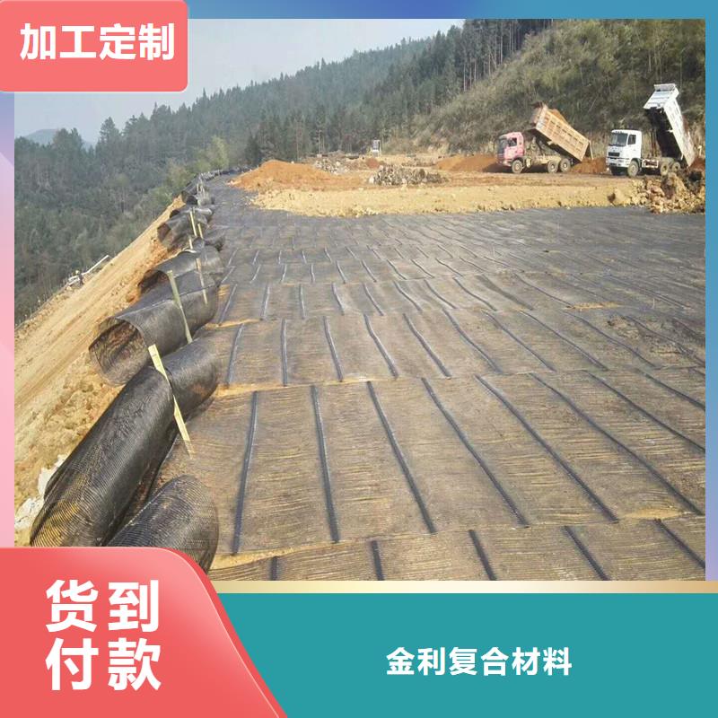 土工格栅\抗裂贴透水管支持定制