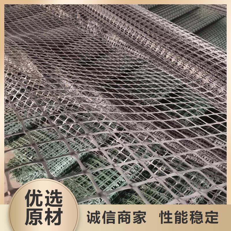土工格栅\抗裂贴双向塑料土工格栅多种工艺