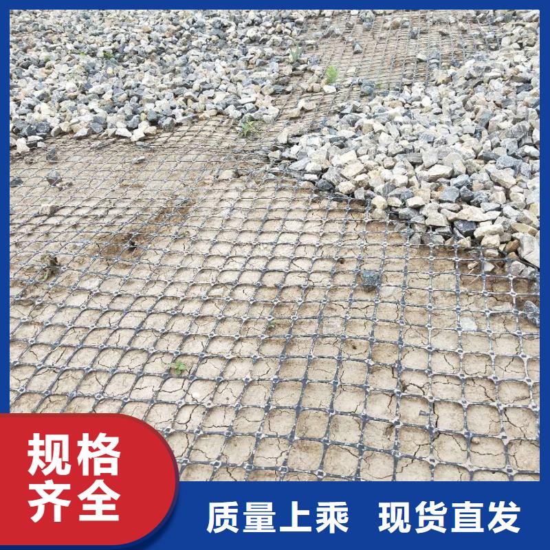 土工格栅\抗裂贴,双向塑料土工格栅质量优选