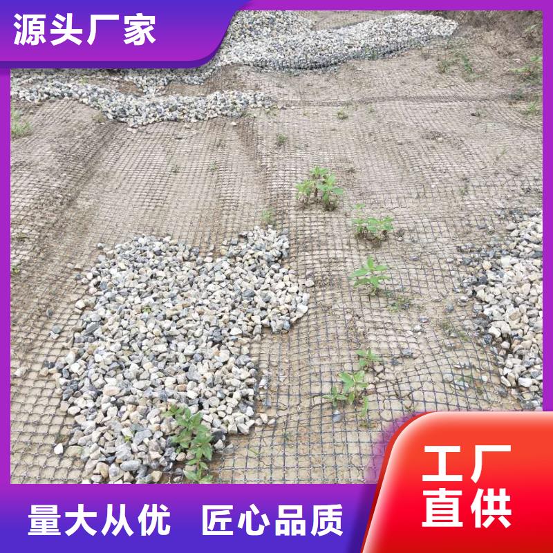 土工格栅\抗裂贴双向塑料土工格栅多种工艺