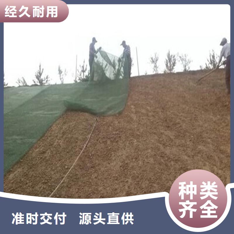 土工布,经编涤纶土工格栅厂家案例