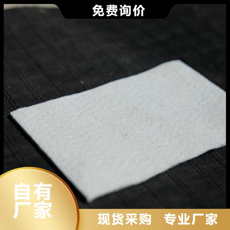 土工布复合土工膜支持大批量采购