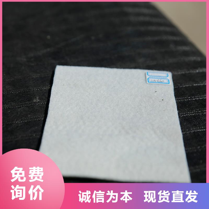 土工布土工格室今日新品