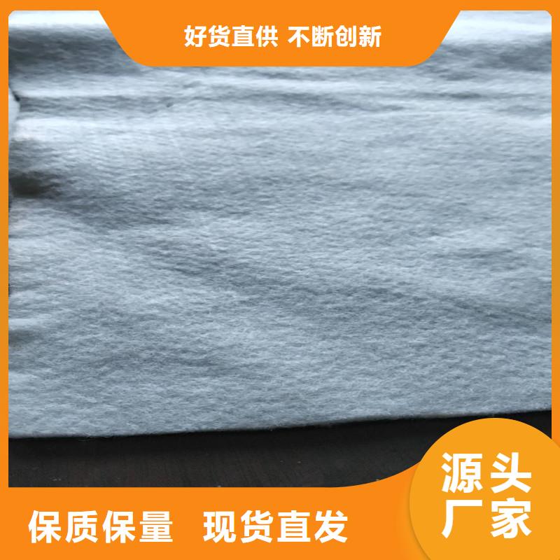 土工布矿用阻燃网专业设计