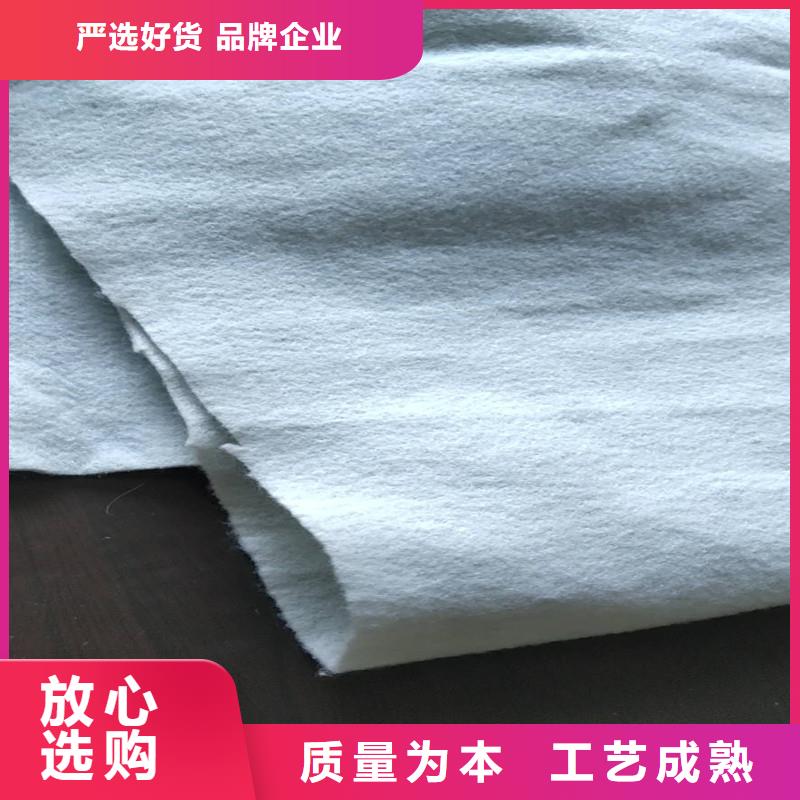土工布玻纤土工格栅随到随提