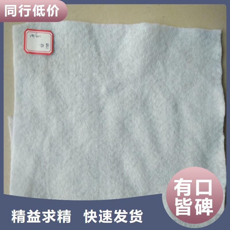 土工布土工格栅大品牌值得信赖