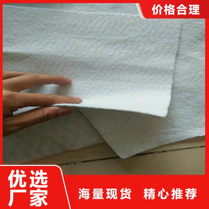 土工布-土工网厂家批发价