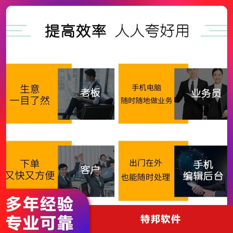 软件企业管理系统软件专业团队