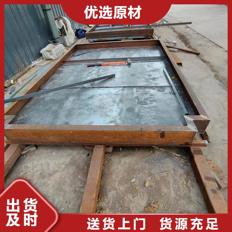 射线防护铅门、射线防护铅门生产厂家
