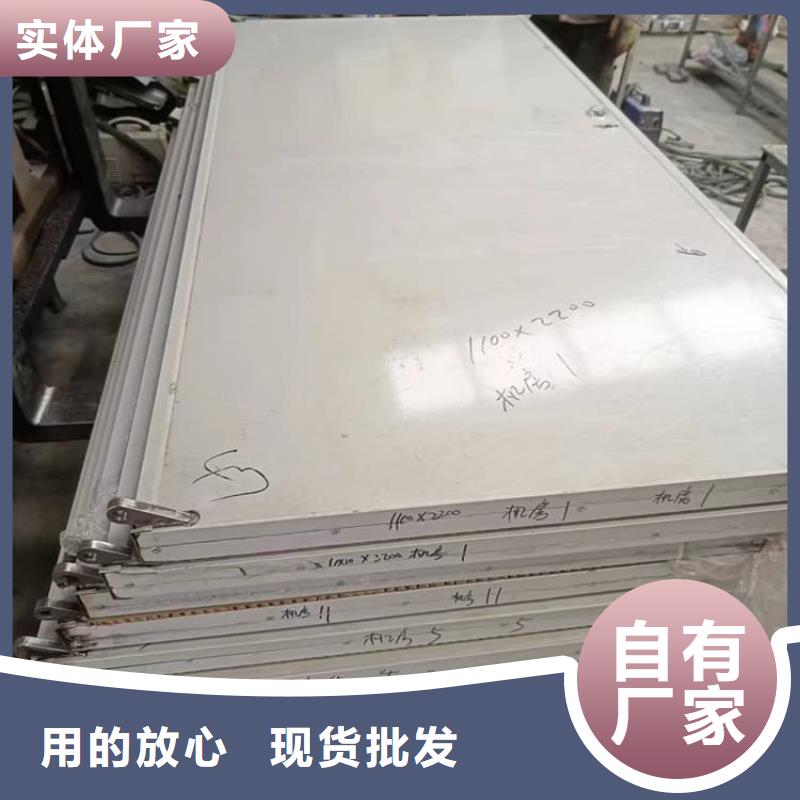 子母电动铅门-品牌厂家