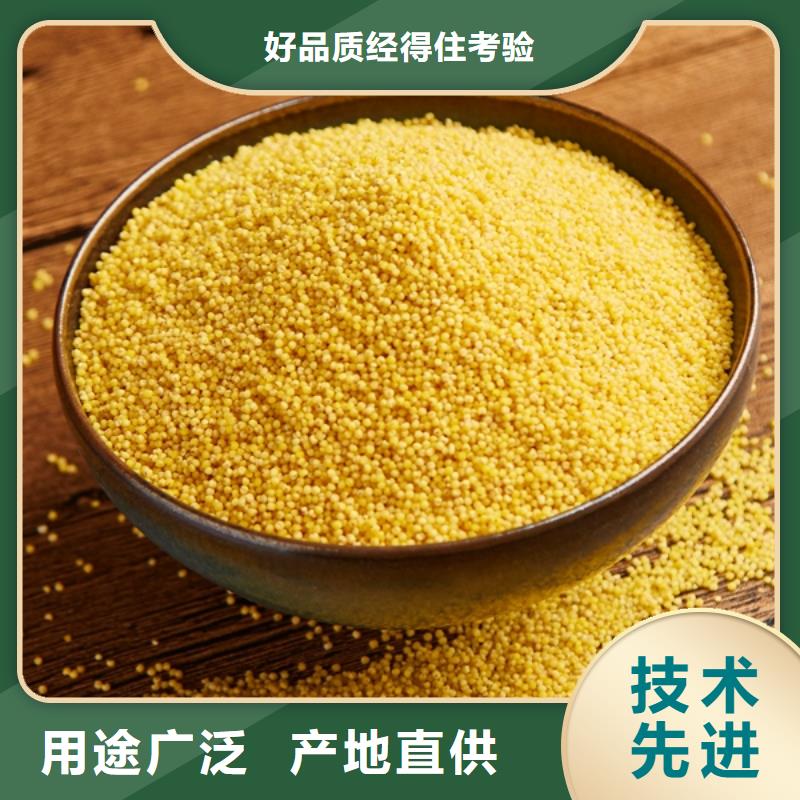 固体PAC生产厂家